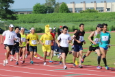 2016年8月日（日）に開催された第2回三条リレーマラソン