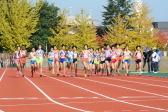 2017年11月5日に開催された第22回新潟県女子駅伝競走大会「三条レディース」の走り