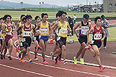 新潟県駅伝交流42.195km対抗戦