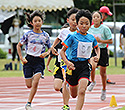 三条市民スポーツ大会陸上競技大会